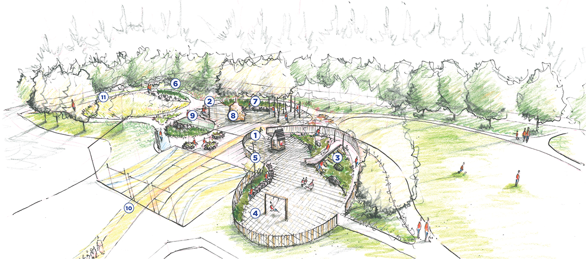 Concept illustration for option B: Trails and Timbers!