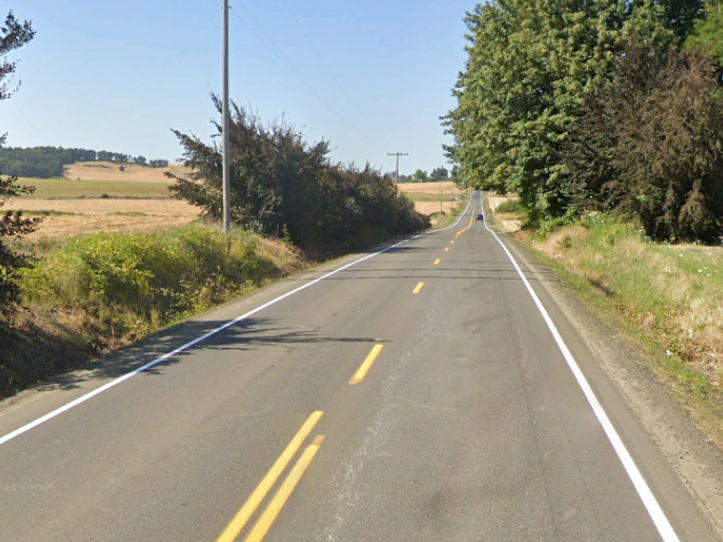 A straight two-lane rural highway stretches into the distance between open fields and clusters of trees. The pavement has double yellow centerlines and narrow shoulders, with utility poles running alongside the road under a clear blue sky.
