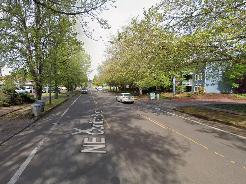 A three-lane street, with a car traveling past a driveway and tree canopy.  