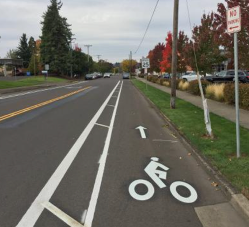  A street view of a striped bike lane with a white bicycle symbol. Two signs: Speed 25 speed limit and No Parking.
