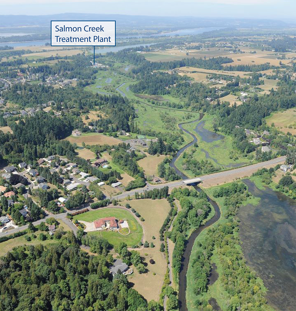 aerial view of Felida neighborhood