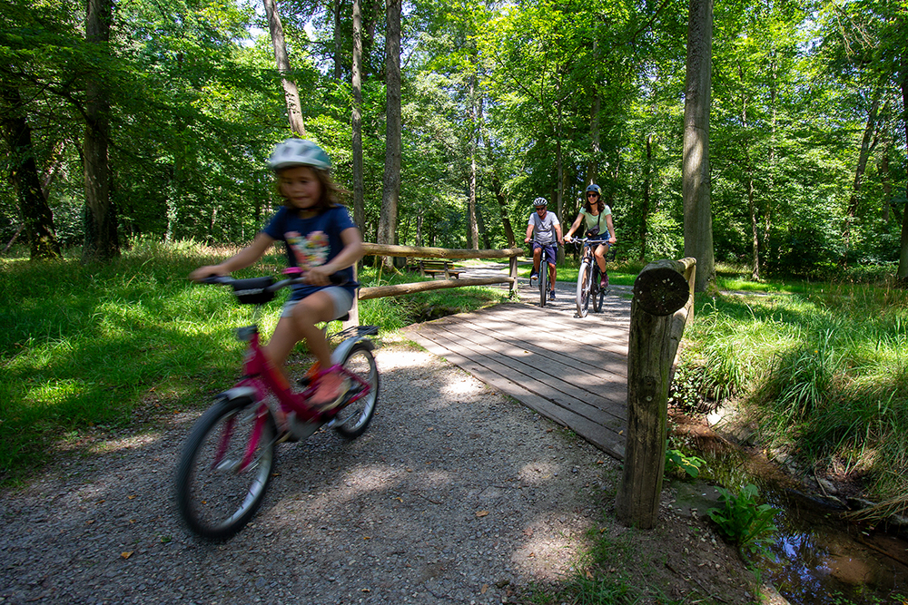 Child rides bike on gravel path, adults follow on a bridge in a green forest.