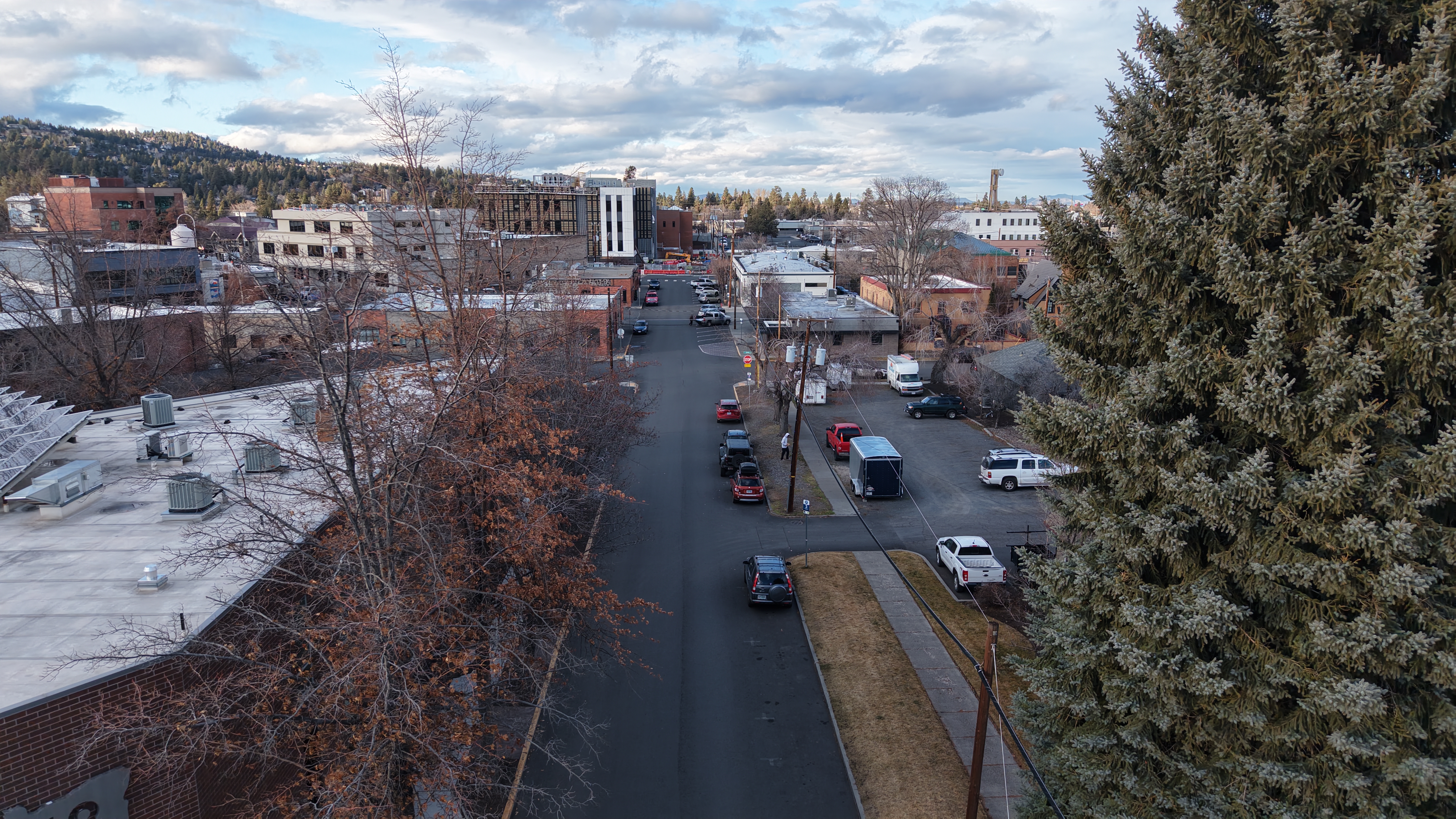 Aerial view of Harriman Street showing a neighborhood street lined with trees and low-rise buildings.
