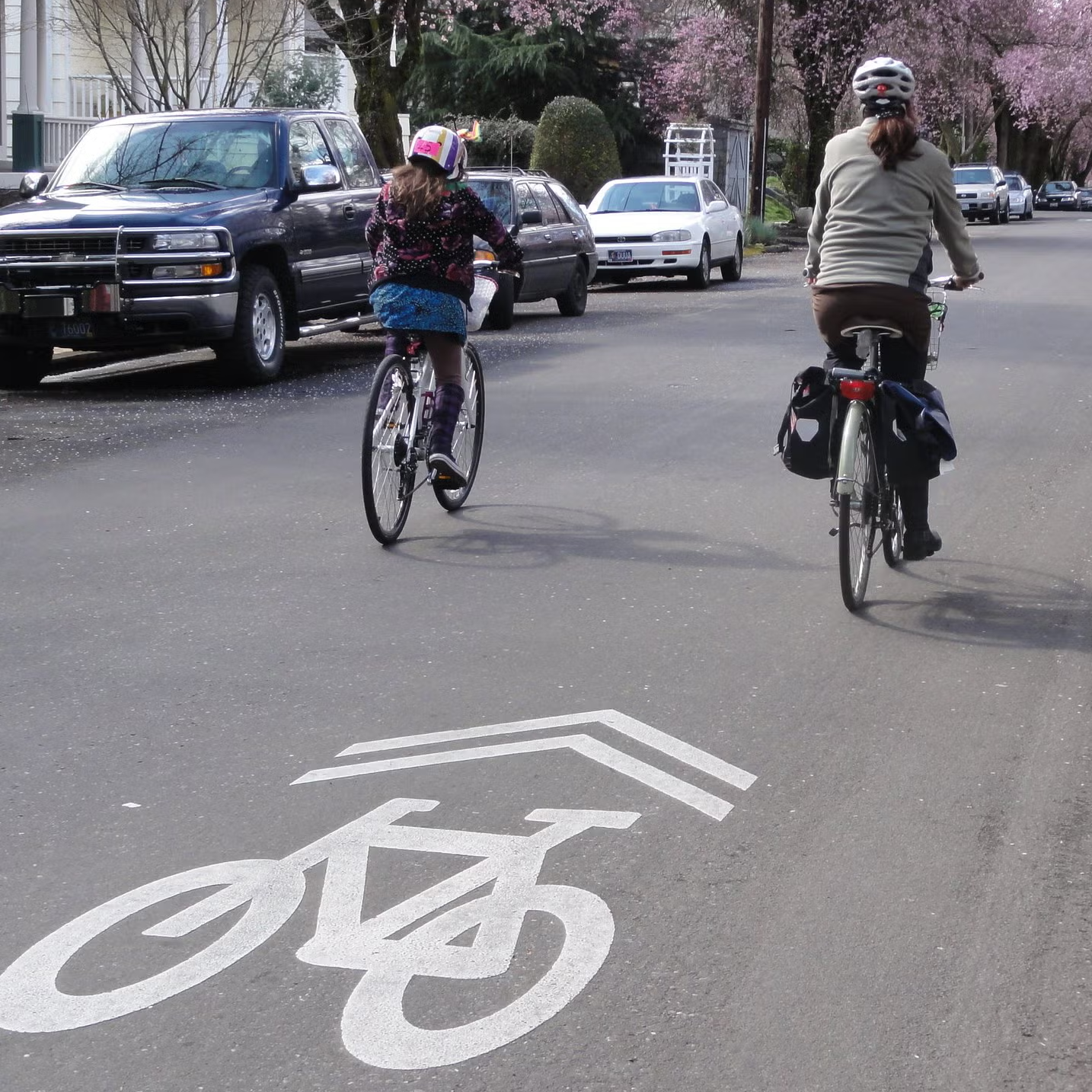 A cyclist riding in a street lane marked with a sharrow symbol.