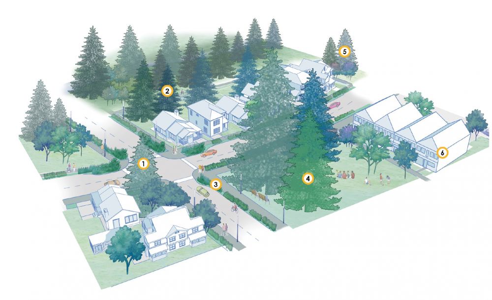 Diagram of cluster neighborhood concept